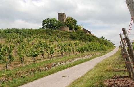 Auffahrt Burg Ravensburg