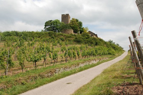 Auffahrt Burg Ravensburg