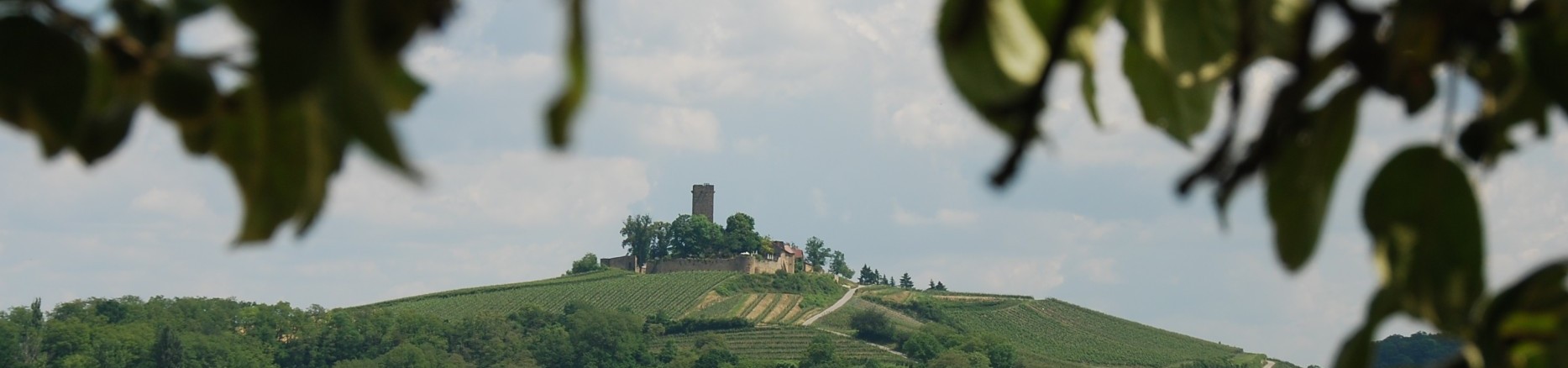 Fernansicht Burg Ravensburg 