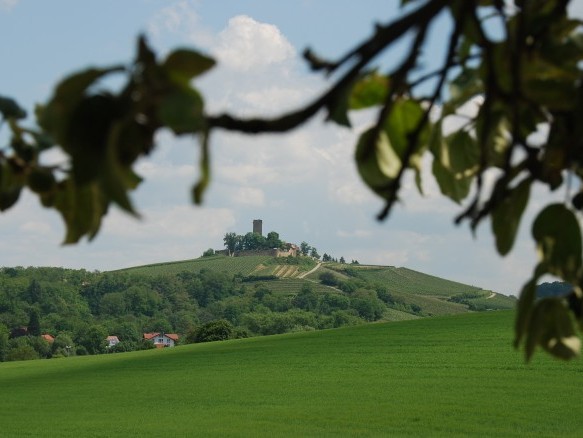Fernansicht Burg Ravensburg