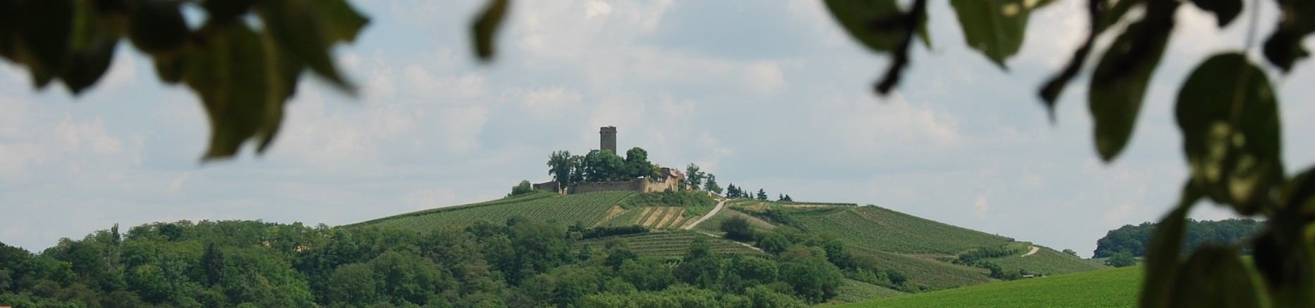 Fernansicht Burgrestaurant Ravensburg