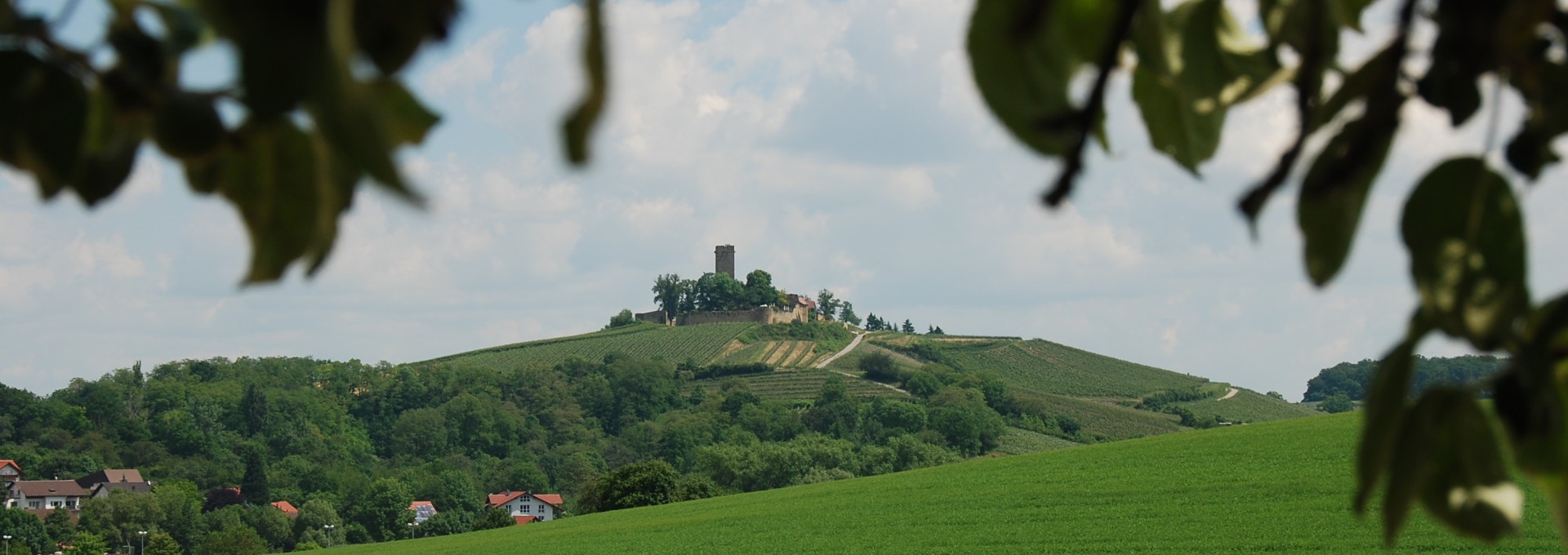 Fernansicht Burgrestaurant Ravensburg