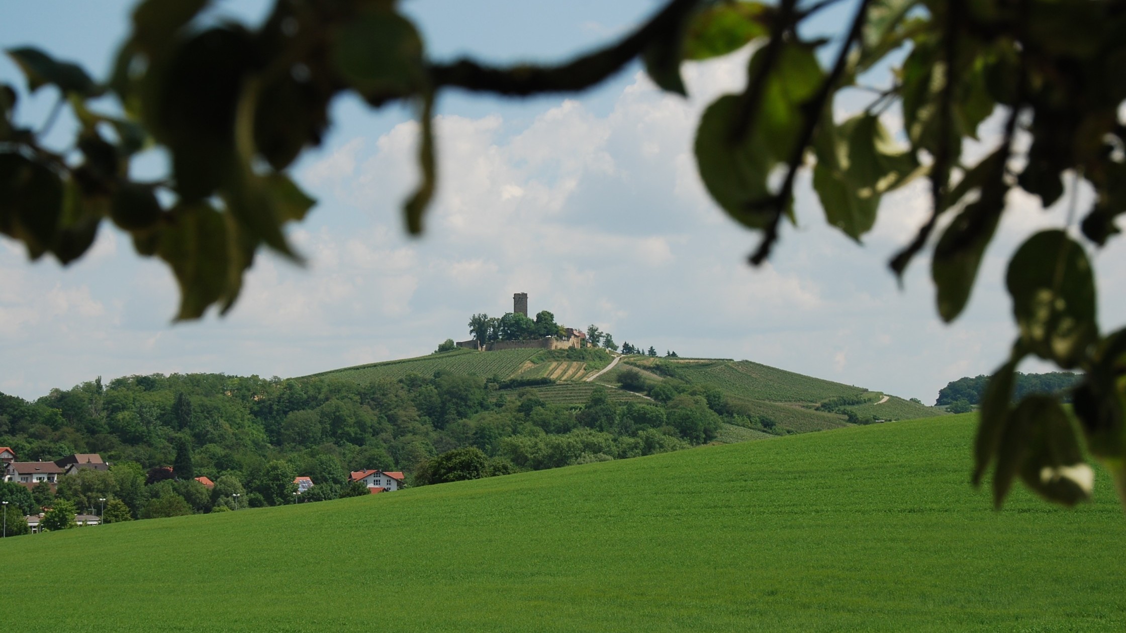 Fernansicht Burgrestaurant Ravensburg