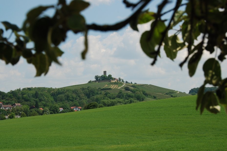 Fernansicht Burgrestaurant Ravensburg