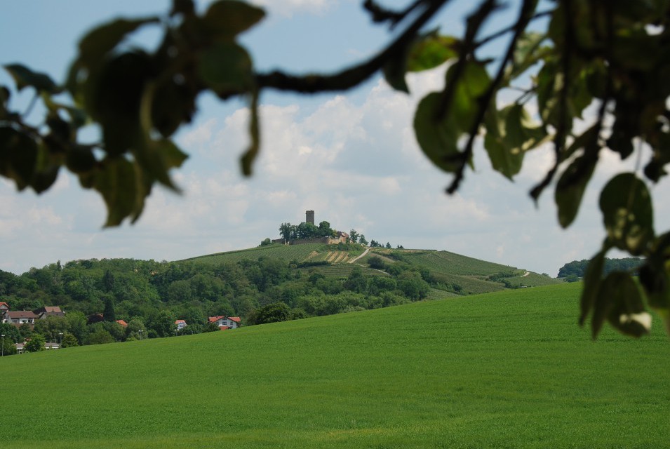 Fernansicht Burgrestaurant Ravensburg